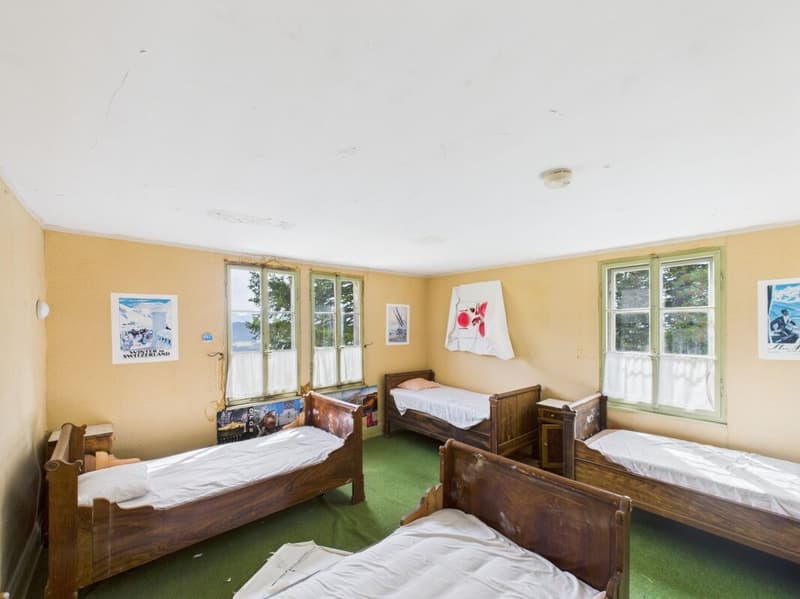 A Swiss Trophy Asset – the Last Free Piece of Mount Rigi (22)