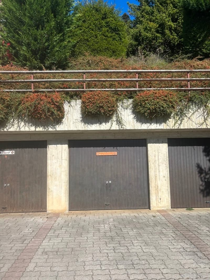 Chalet de montagne à Arbaz – 4 pièces avec vue panoramique (13)