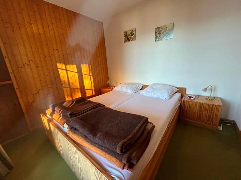 Chalet en madriers à Arbaz avec vue imprenable (6)