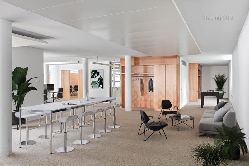 Repräsentatives Büro mit Terrasse - 277 m² im 1. OG an der Fortunagasse, Zürich, mieten (6)
