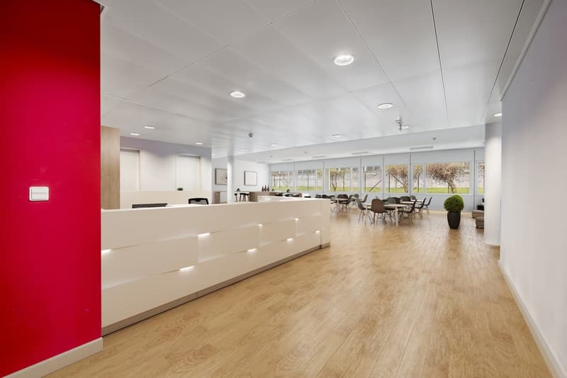 Neu ausgebaute Büroflächen ab 222 m² in Kloten mieten (5)