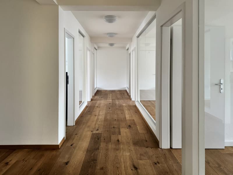 228 m² Büro im 3. OG an der Seestrasse, Zürich - mieten (2)