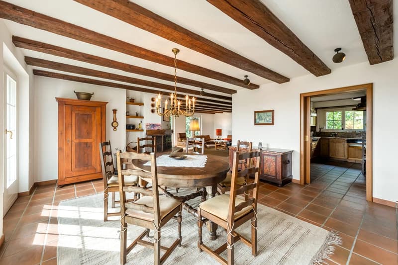 Herrschaftliche Villa mit traumhafter Weitsicht und viel Potenzial (6)