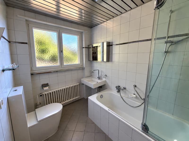 Seltene Gelegenheit an begehrter Lage - Traumaussicht und vielseitiges Entwicklungspotential (10)