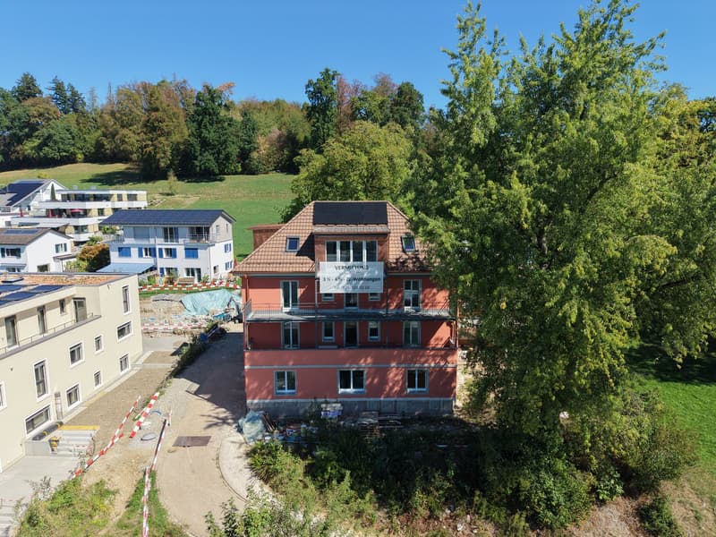 Aussergewöhnliche 3½-Zimmer-Dachwohnung mit Holzbalken und Panoramablick (1)