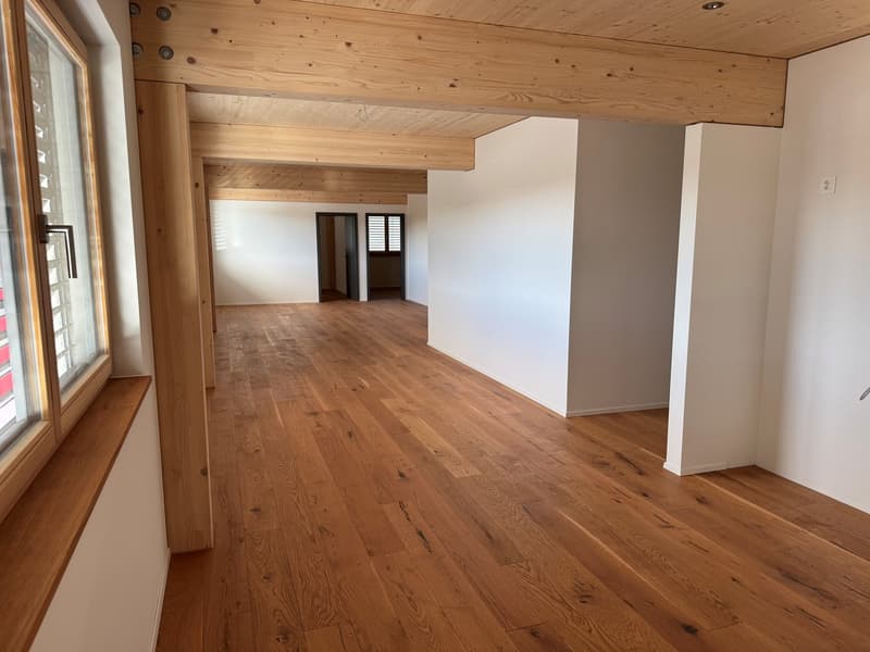 schöne 3.5-Zimmer Attikawohnung mit Sommerkühlung zu vermieten (1)
