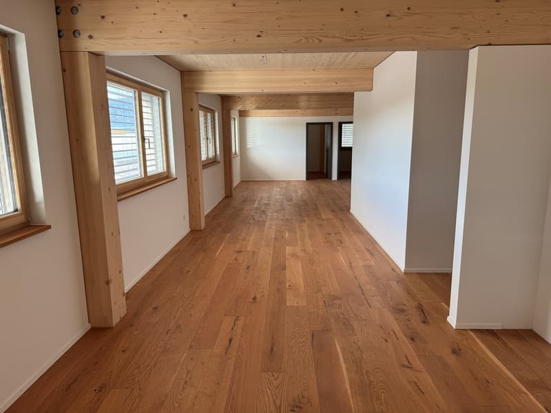 schöne 3.5-Zimmer Attikawohnung mit Sommerkühlung zu vermieten (2)