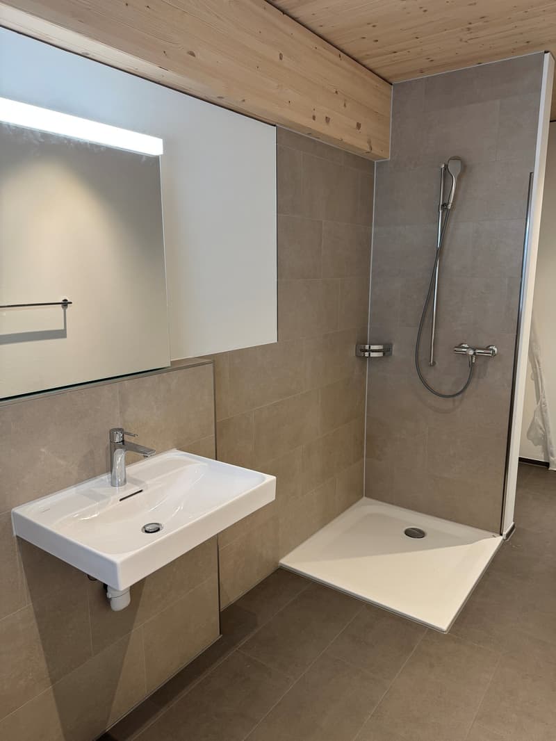 3.5-Zimmer Attikawohnung mit Sommerkühlung zu vermieten (8)