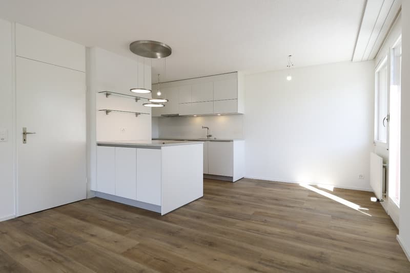 Helle, stilvolle und komplett renovierte 4.5 Zimmer-Wohnung (3)