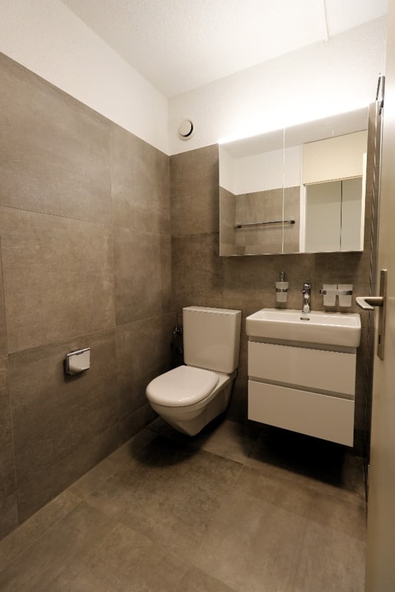 Helle, stilvolle und komplett renovierte 4.5 Zimmer-Wohnung (9)