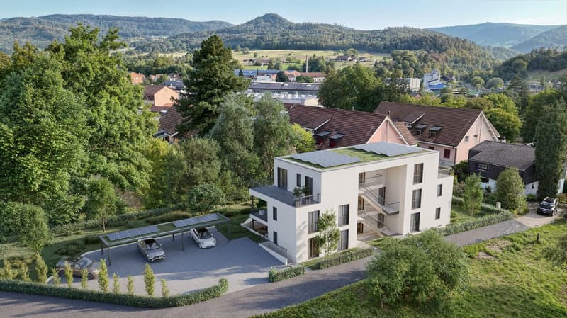 4.5-Zimmer-Gartenwohnung im Minergie-P-Neubau Laufental 40 (2)