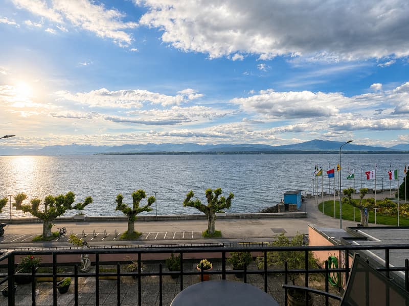 Nyon - A vendre entre Lac et chateau (1)