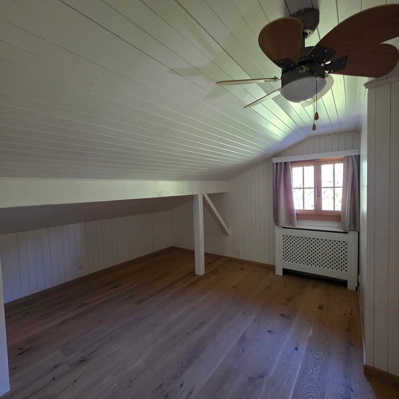 Magnifique Chalet totalement rénové à Barboleusaz / Villars-sur-Ollon-Gryon (22)