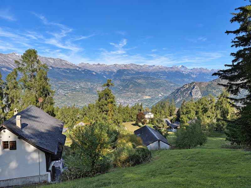 Chalet de 5.5 pièces aux Mayens-de-Sion (5)