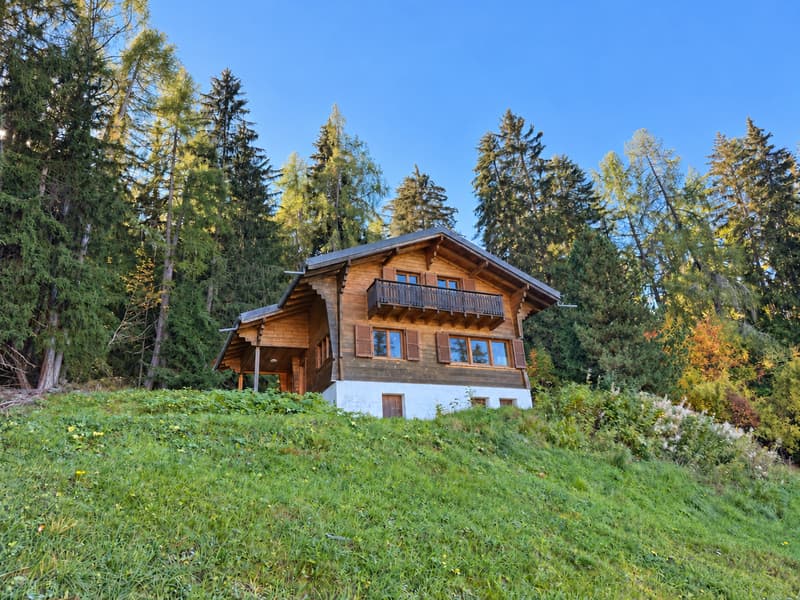Chalet de 5.5 pièces aux Mayens-de-Sion (3)