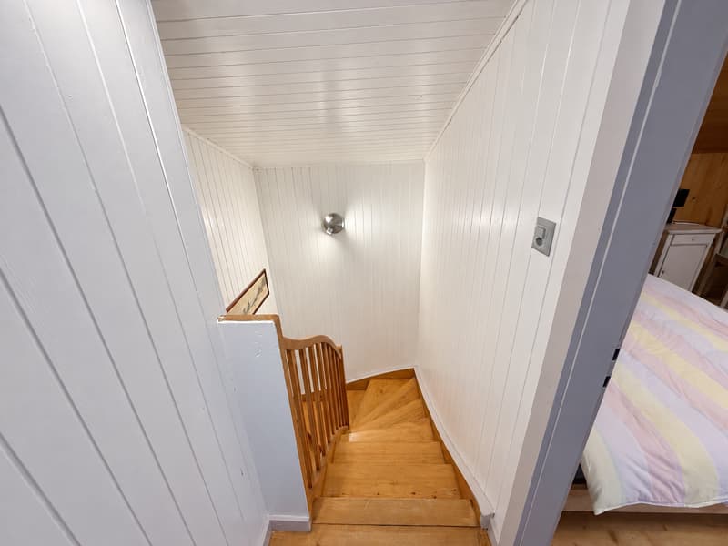 Chalet de 5.5 pièces aux Mayens-de-Sion (15)
