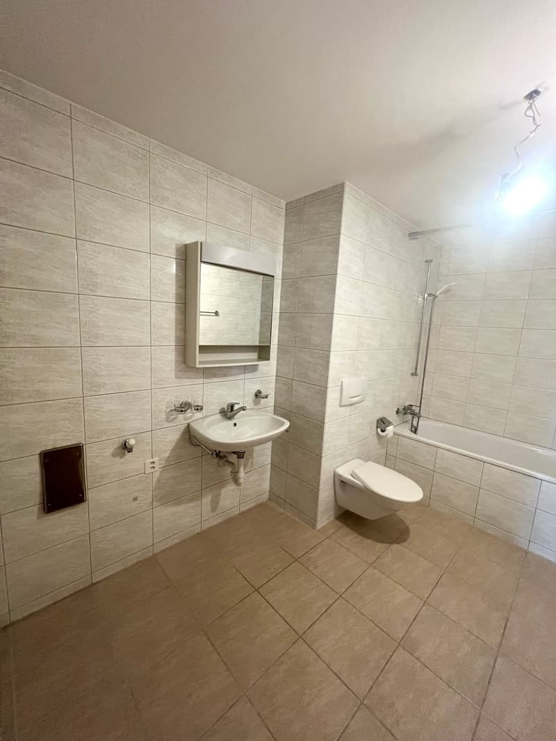 Grosszügige 4.5 Zimmerwohnung an ruhiger Lage und toller Aussicht (13)