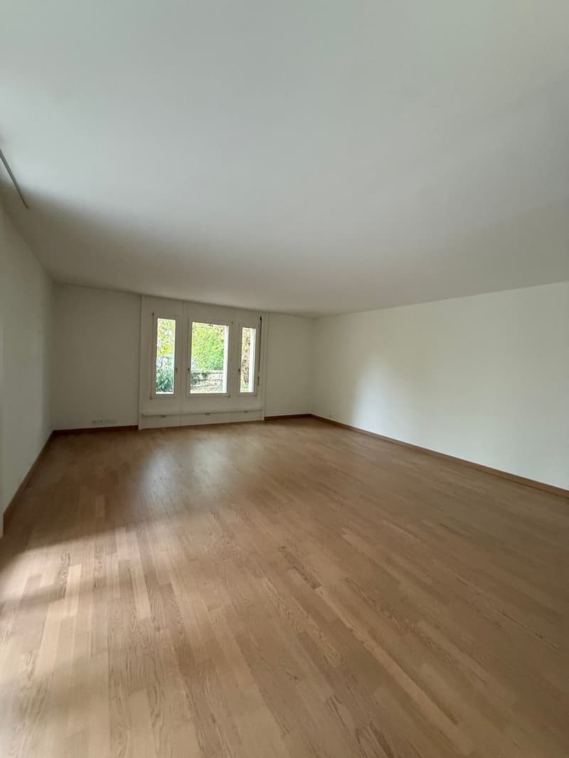 Charmante 4.5-Zimmer-Wohnung im Erdgeschoss in Arlesheim (9)
