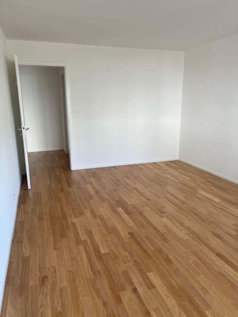 2 Zimmer-Wohnung, 4112 Flüh (8)