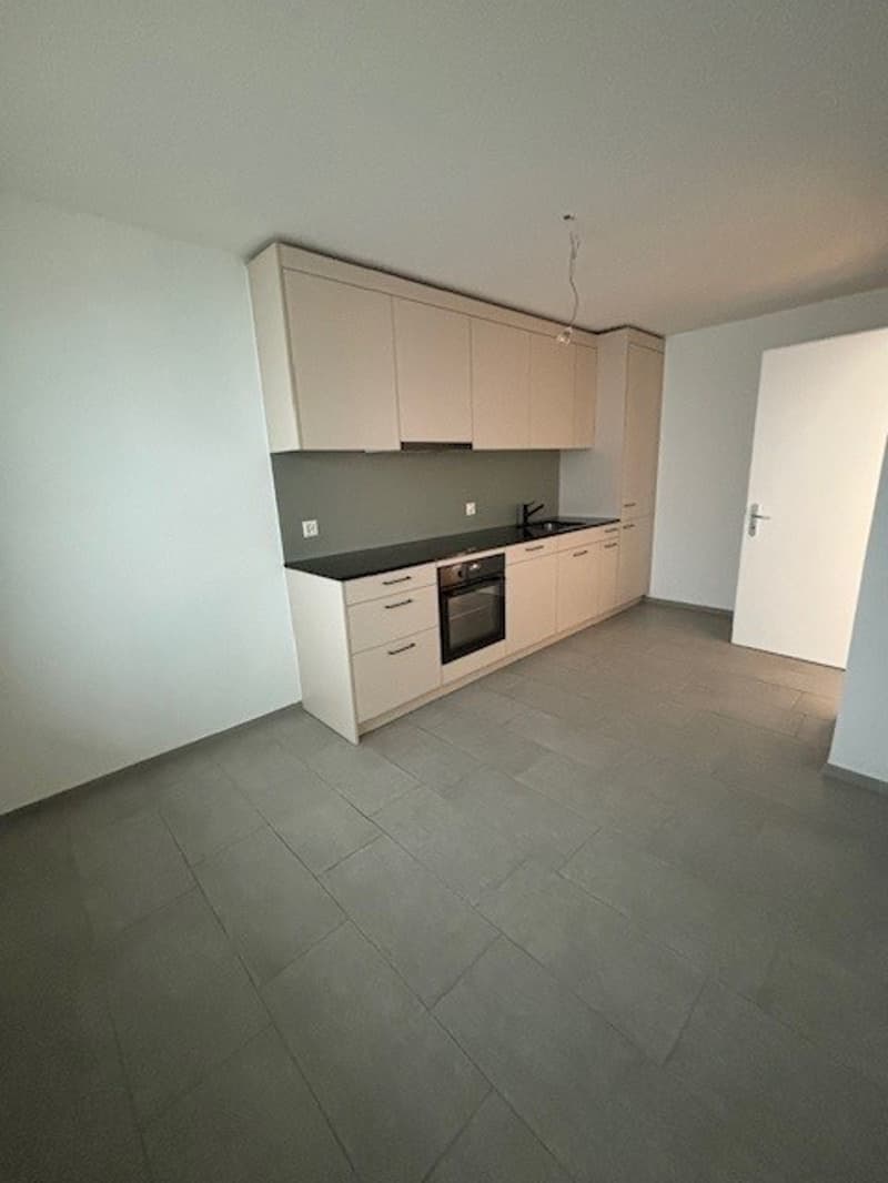2 Zimmer-Wohnung, 4112 Flüh (1)