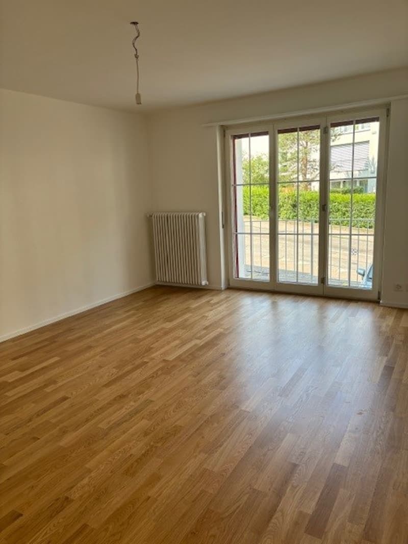 2 Zimmer-Wohnung, 4112 Flüh (10)