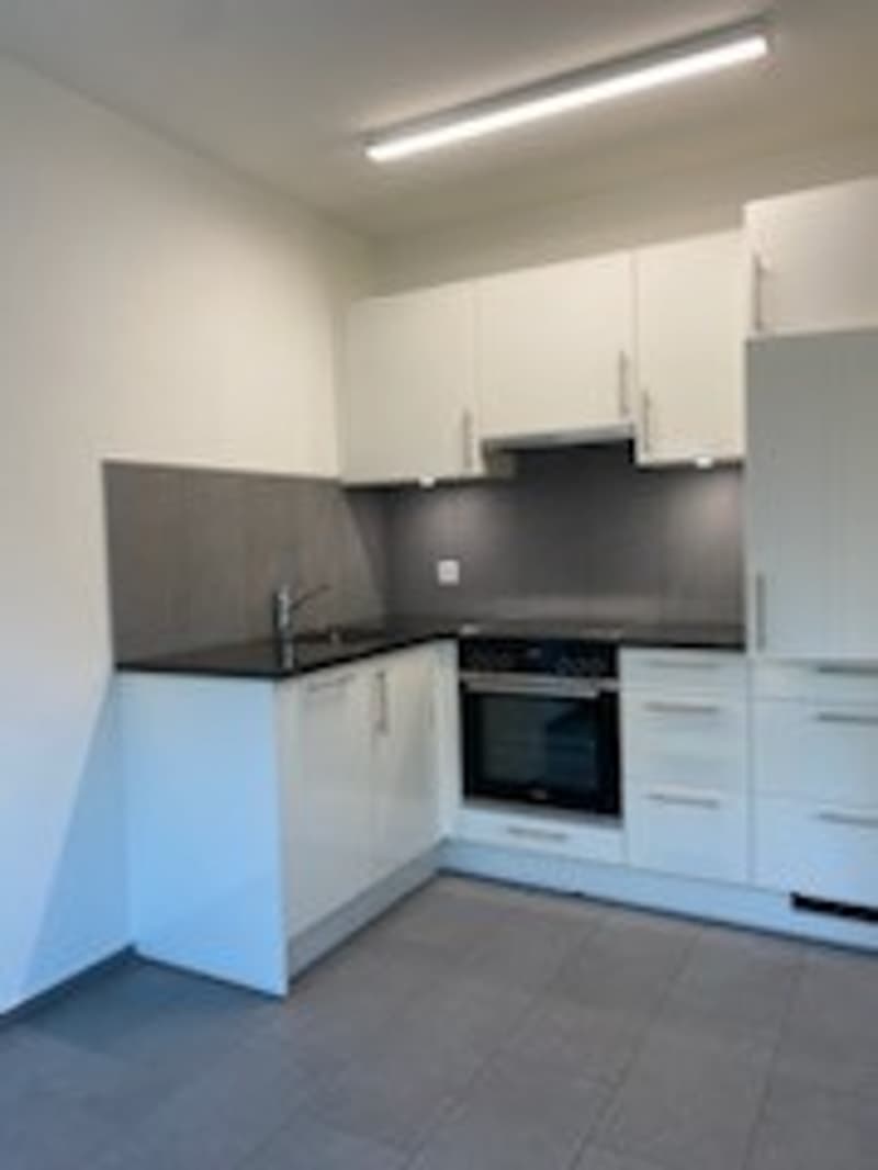 Moderne, helle 3,5-Zimmerwohnung (2)