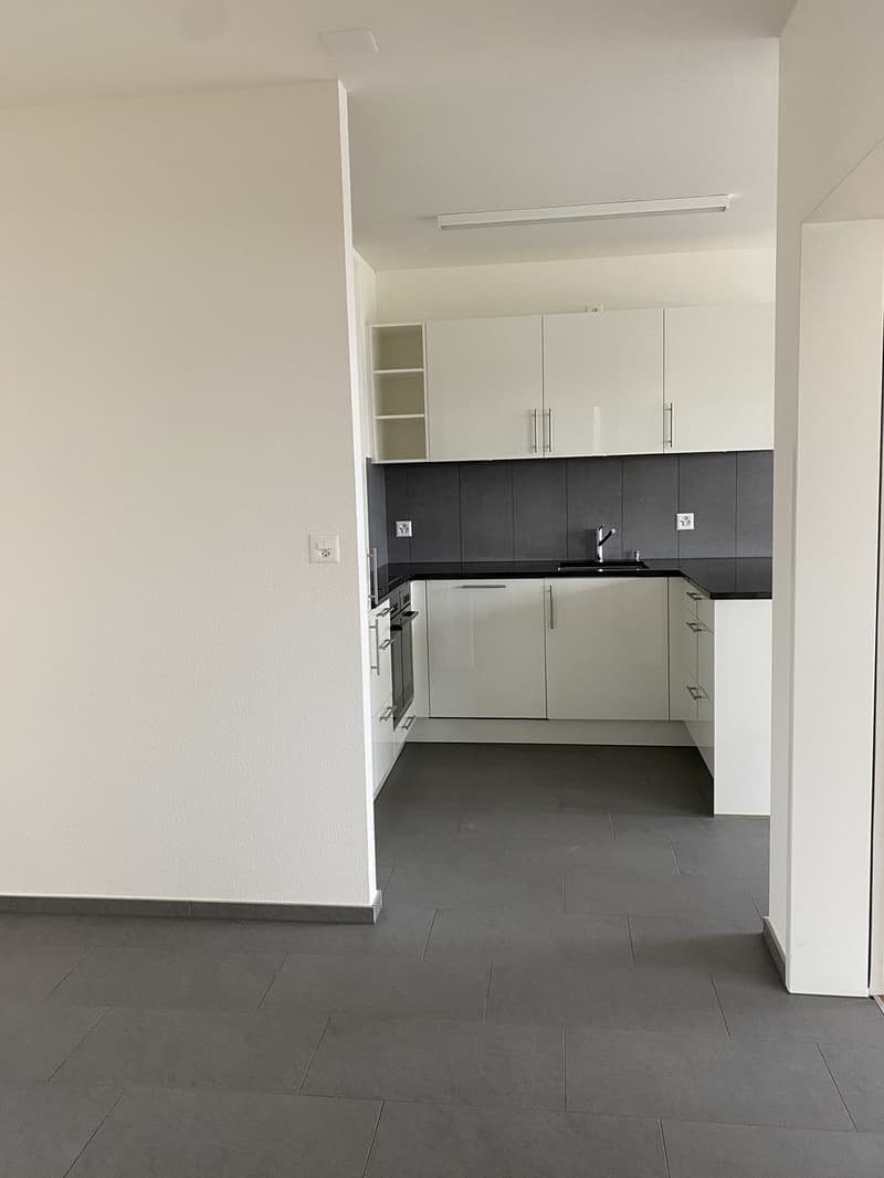 Moderne, helle 3,5-Zimmerwohnung (3)