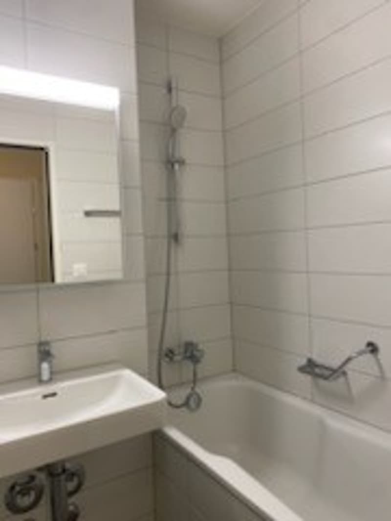 Moderne, helle 3,5-Zimmerwohnung (9)