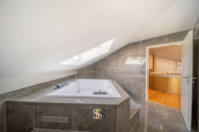 Exklusive Maisonettewohnung mit Dachloge und Spa-Bereich (22)