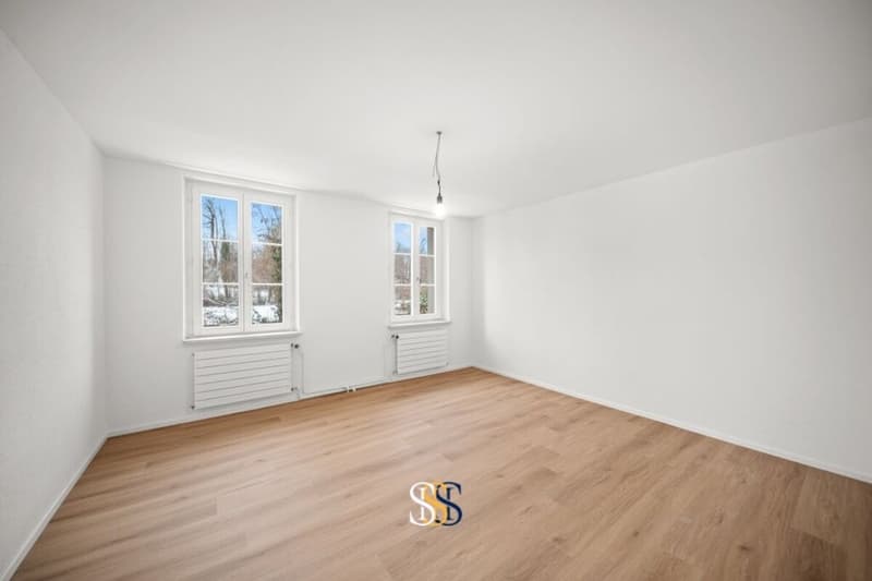 Charmante Maisonettewohnung mit Gartenanteil in Bürglen TG (5)
