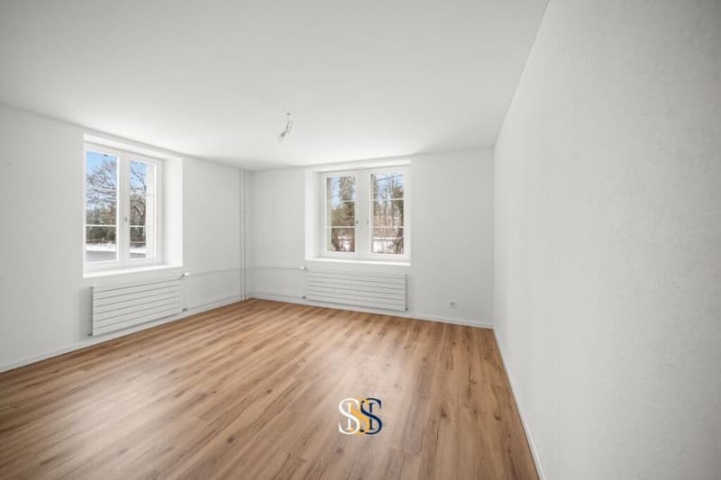 Charmante Maisonettewohnung mit Gartenanteil in Bürglen TG (7)