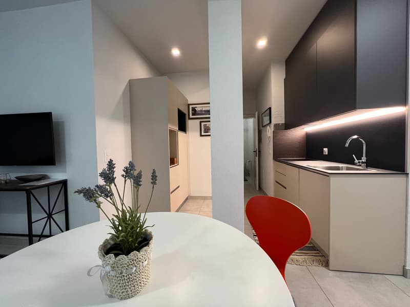 2.5 locali a Lugano (5)