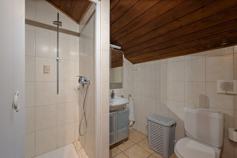 Spaziosa casa ad Olivone (17)