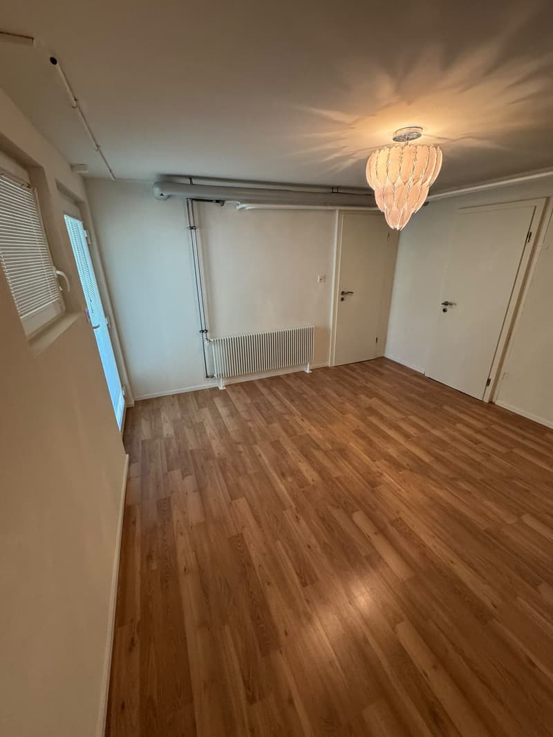 Saniertes Einfamilienhaus mit 6.5 Zimmern und guter Lage (21)