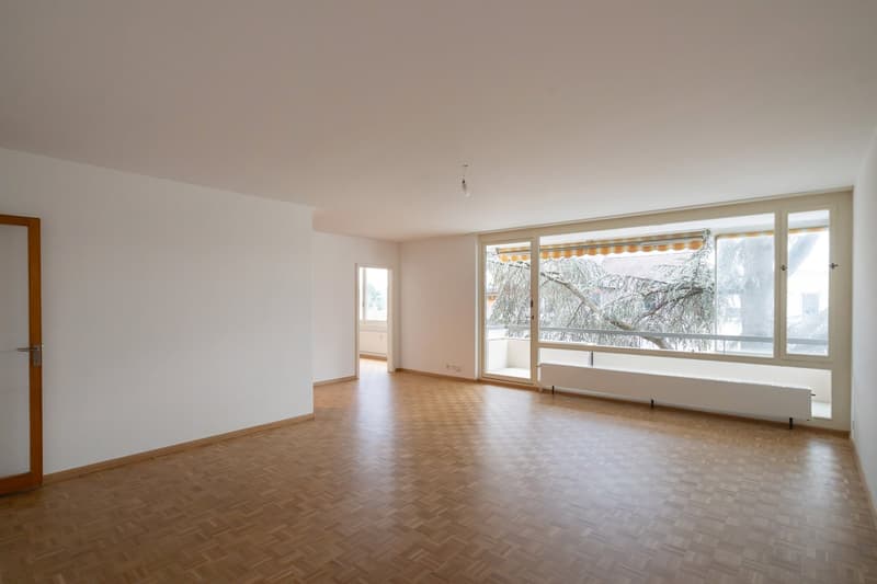 Zwischen Baumkronen und Rhein – 5.5 Zimmer auf ca. 130 m² (1)