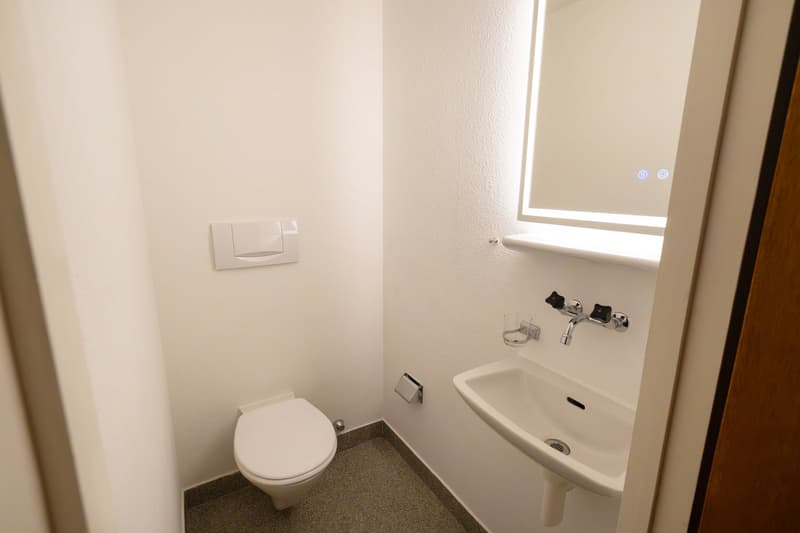Zwischen Baumkronen und Rhein – 5.5 Zimmer auf ca. 130 m² (11)