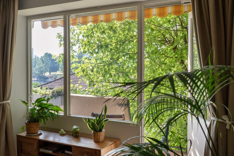 Zwischen Baumkronen und Rhein – 4.5 Zimmer auf ca. 120 m² (5)