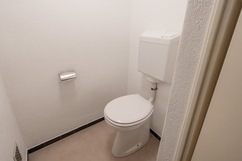 3.5 Zimmer, zwei Balkone und viel Platz – nahe am Rhein (9)