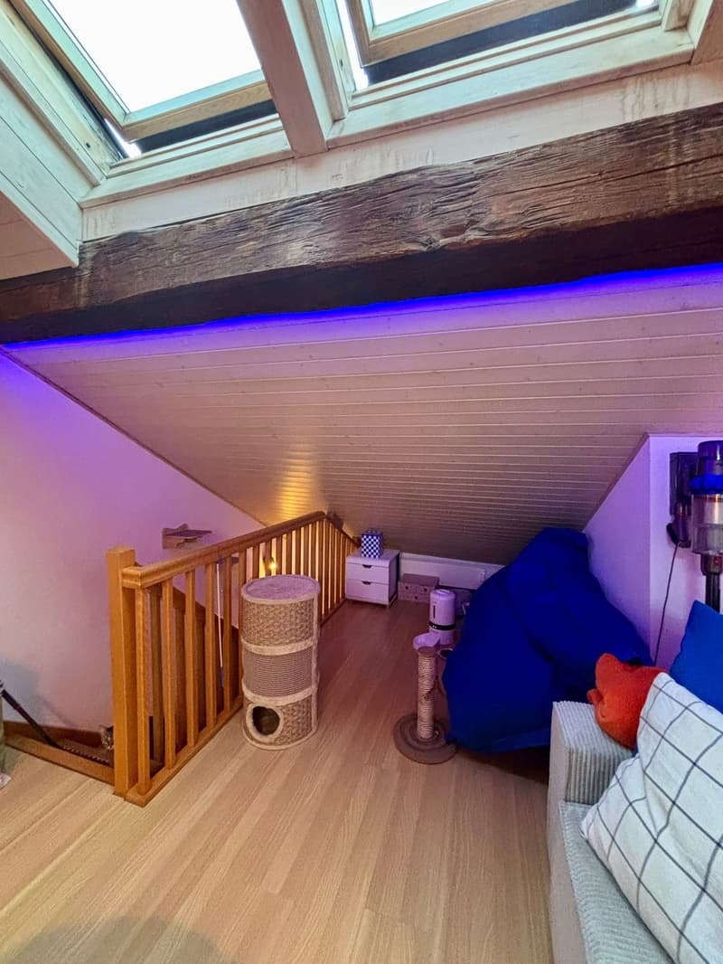 Appartement en duplex à remettre – centre de Fribourg 2,5 pièces (8)
