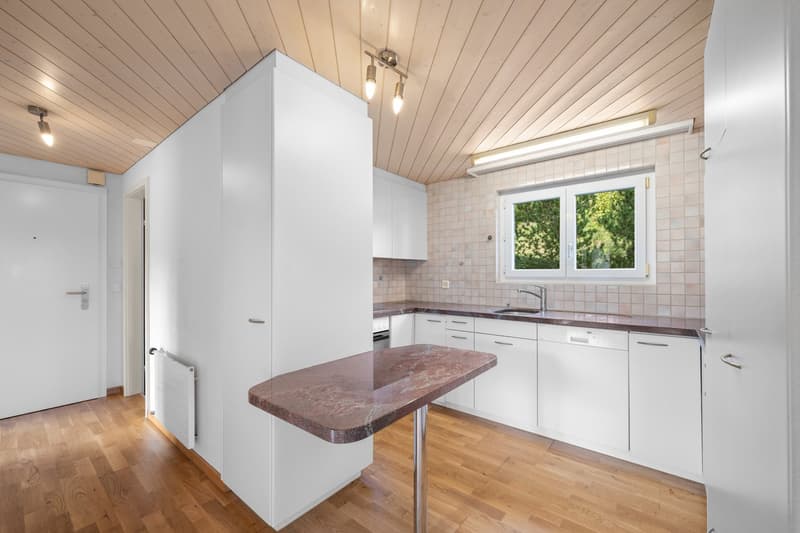 Helle 4.5-Zimmer mit Balkon in Speicher AR (9)