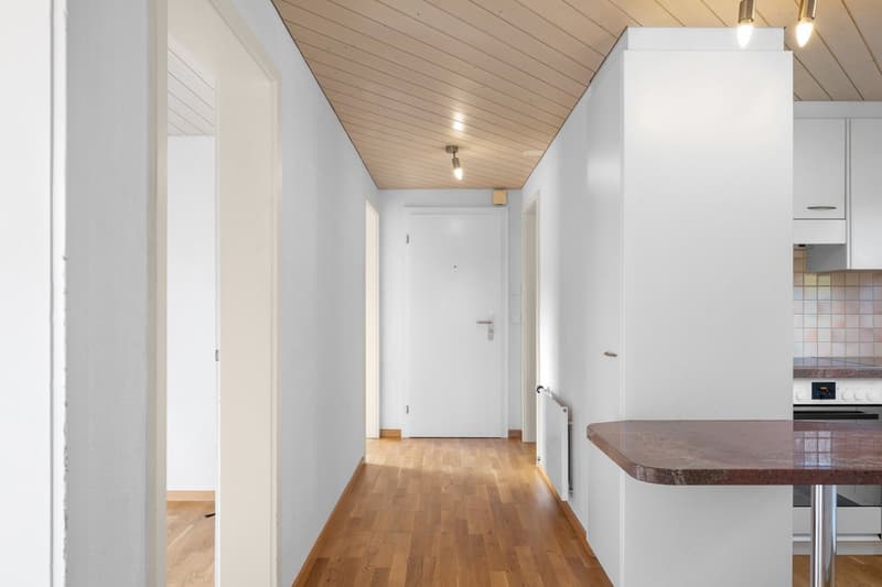 Helle 4.5-Zimmer mit Balkon in Speicher AR (7)