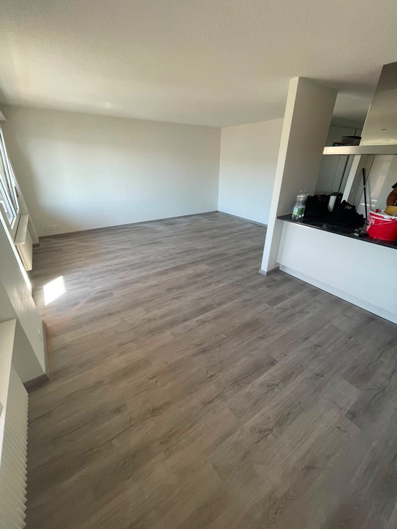 Charmant appartement de 3.5 pièces avec balcon et piscine à La Neuveville (5)