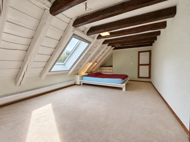 Duplex de caractère de 180 m² avec jardin et sauna 498 000.- (4)
