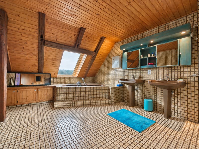 Duplex de caractère de 180 m² avec jardin et sauna 498 000.- (3)