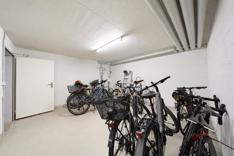 Stilvolle 4,5-Zimmer-Wohnung mit 2 Balkonen, Aufzug & 2 TG-Stp. in Lengwil (33)