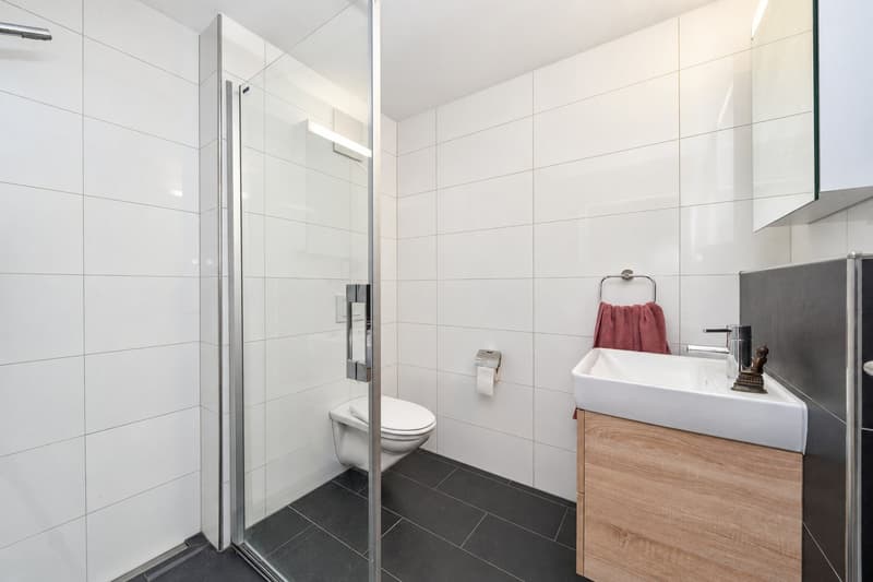 Stilvolle 4,5-Zimmer-Wohnung mit 2 Balkonen, Aufzug & 2 TG-Stp. in Lengwil (26)