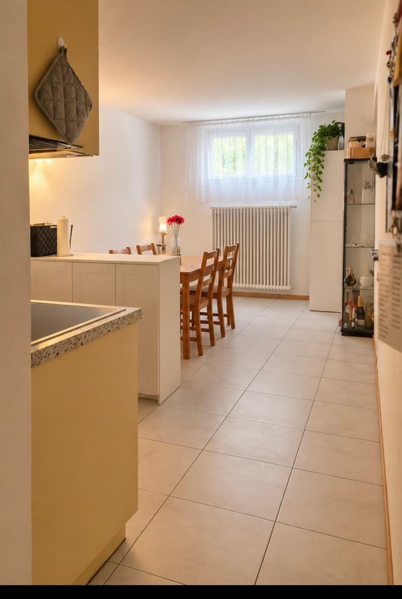 grosse 1.5 Wohnung mit eigenem Sitzplatz in ruhigem Quartier, nahe Bahnhof Rikon (3)