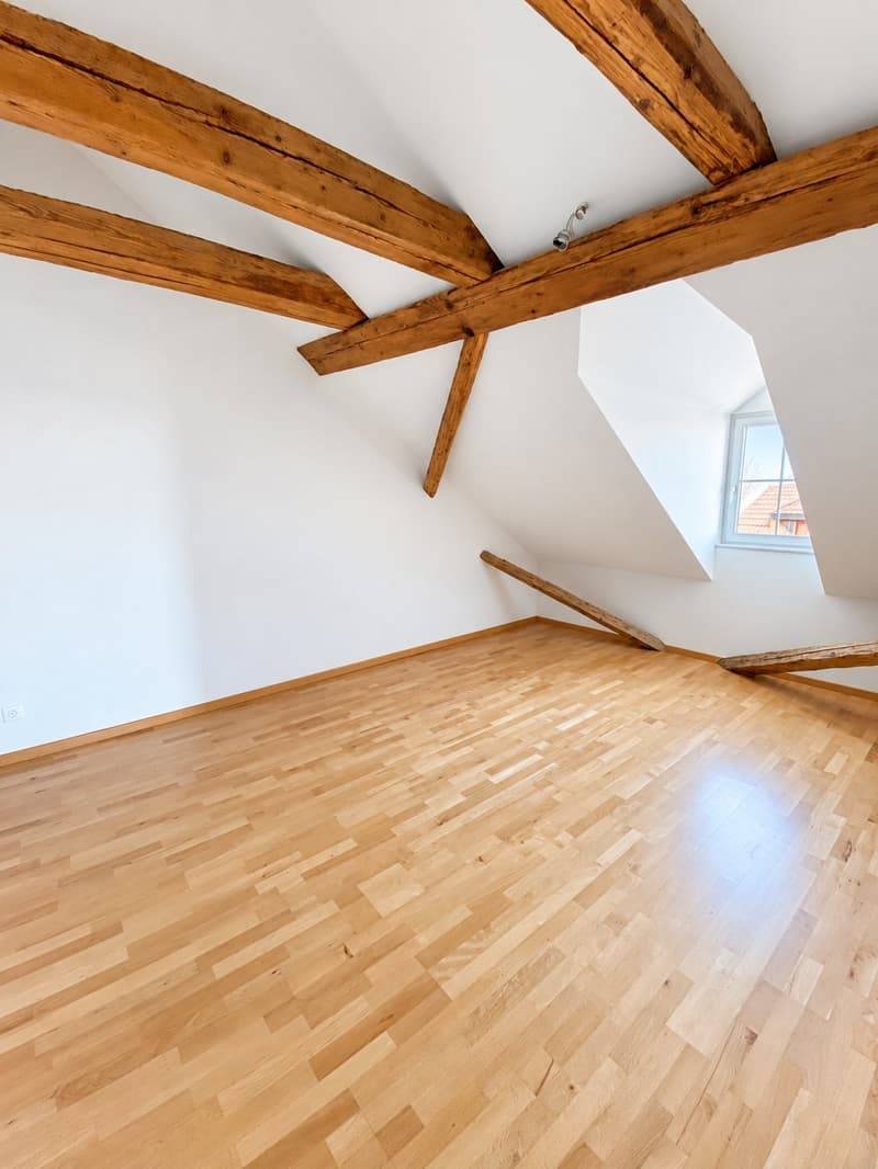 Voll vermietetes Mehrfamilienhaus – attraktive Anlage (9)