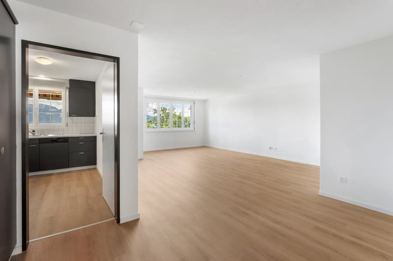Renovierte, grosszügige und helle 4 .5 Wohnung mit Weitsicht (7)