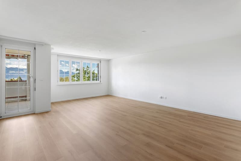 Renovierte, grosszügige und helle 4 .5 Wohnung mit Weitsicht (10)